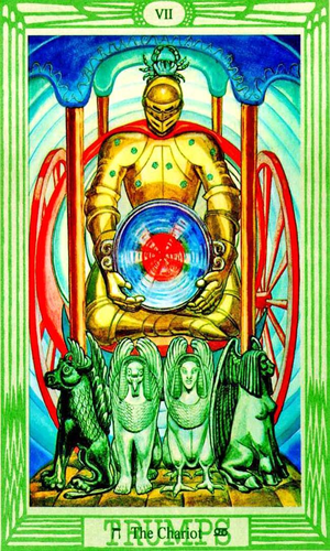 Card 7